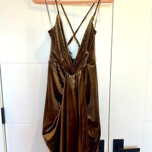 NWT Velour Dress Day Dress